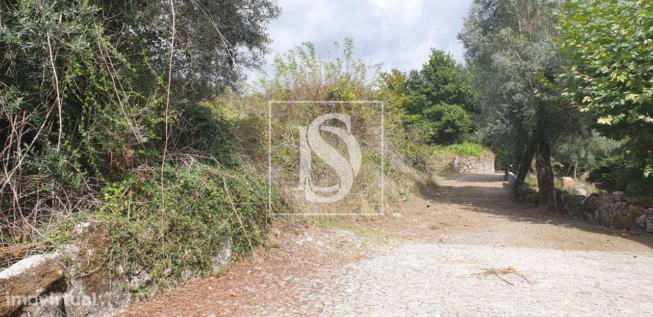 Moradia para Restaurar T3 Venda em Pinheiro,Vieira do Minho-14