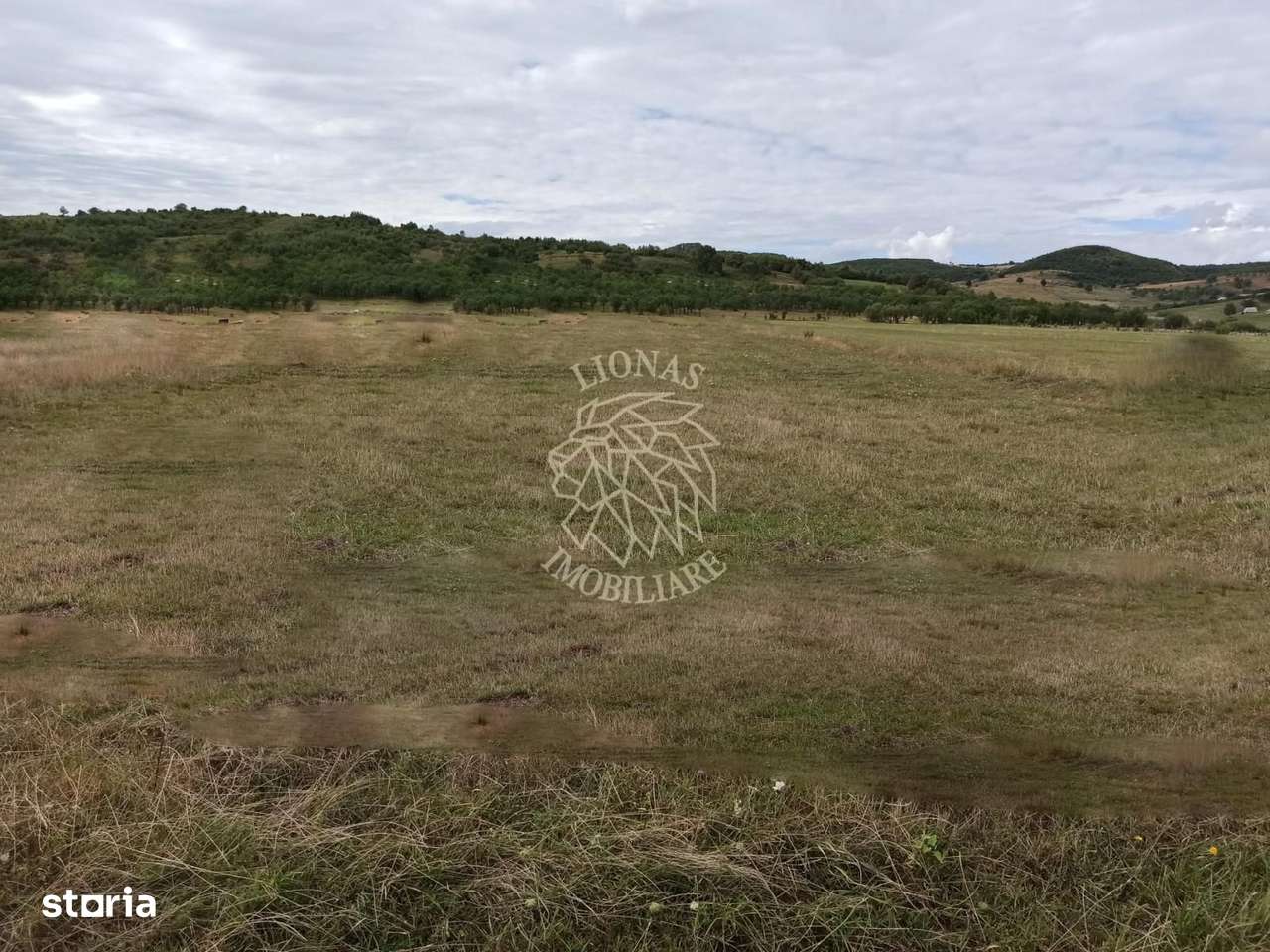 TEREN INTRAVILAN 5000 mp-ideal case,hale-Livezile PRET PROMO! - Imagine principală: 2/3