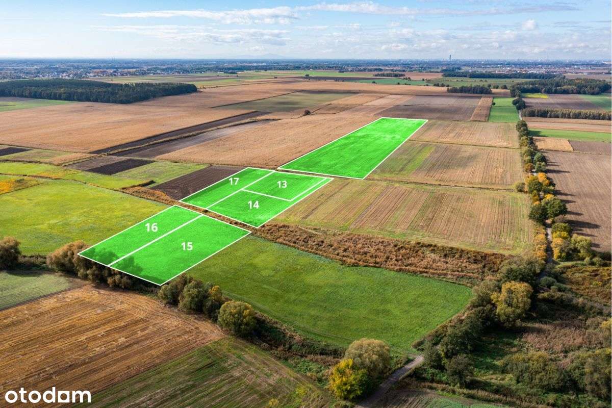 Działki w Oleśniczce, Gmina Długołęka - Pełny obrazek: 5/6