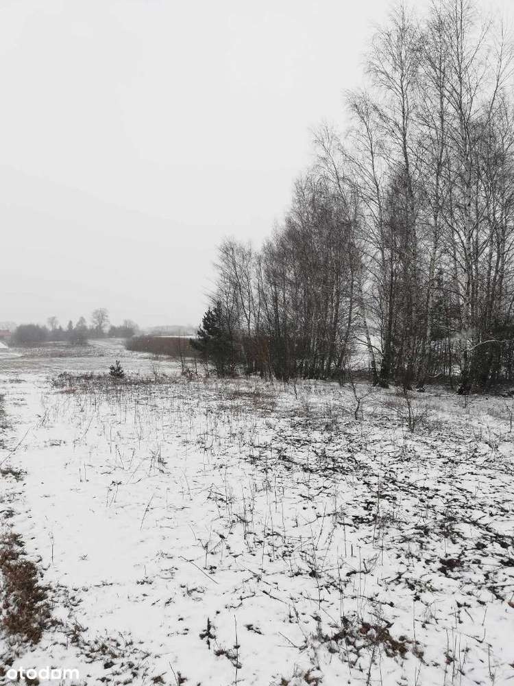 Sprzedam działkę budowlaną w miejscowości Okrzeja - Pełny obrazek: 5/9