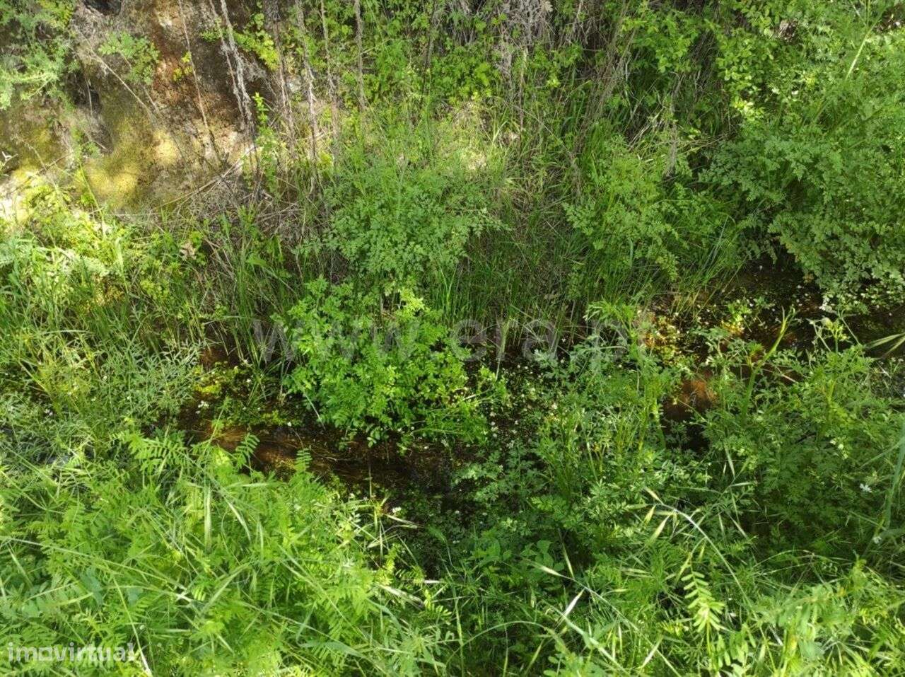 Quinta Estúdio / Fundão, Orca - Grande imagem: 3/12