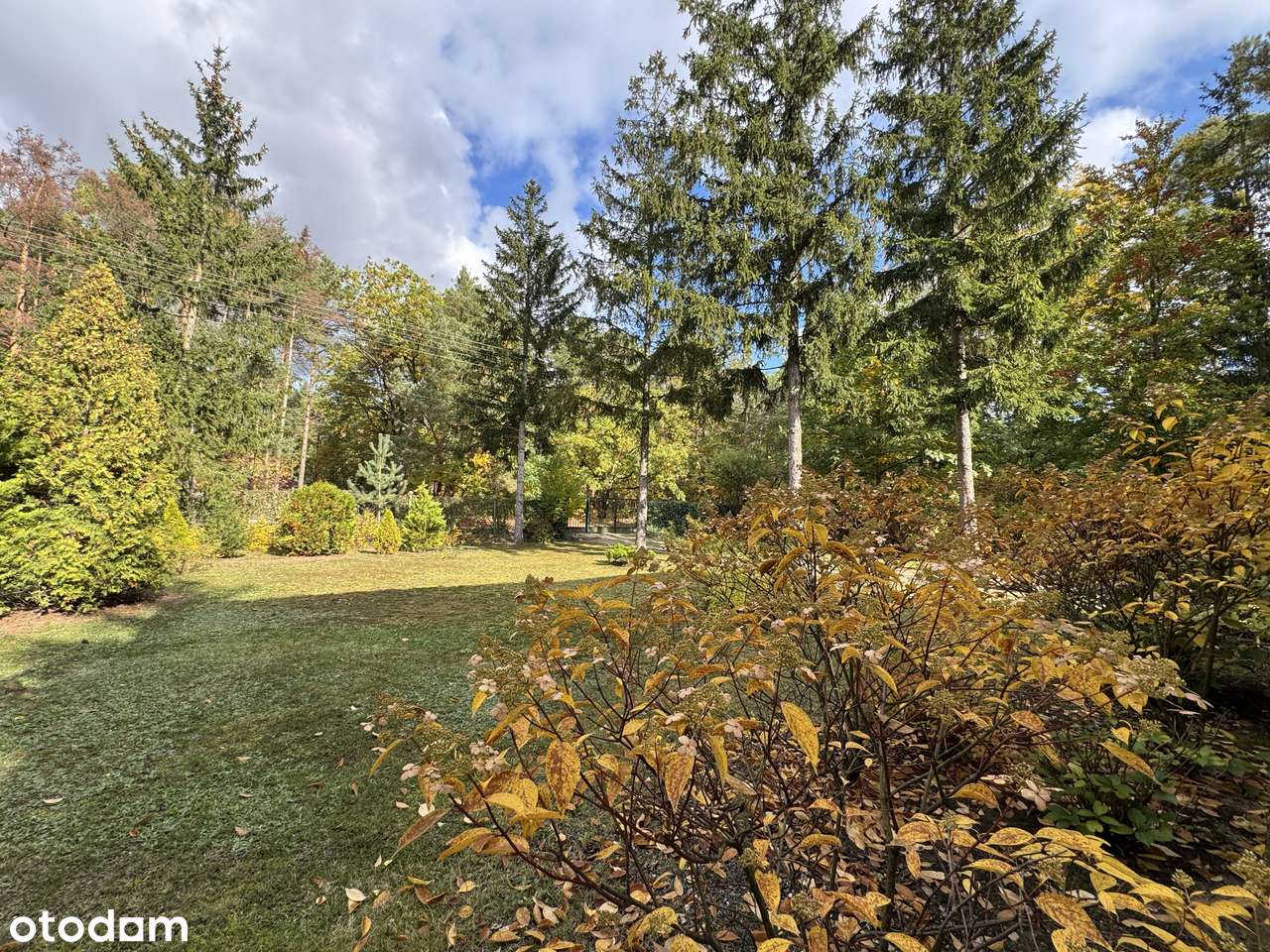 Działka w Magdalence / Łazach-spokojne miejsce z potencjałem - Pełny obrazek: 5/12