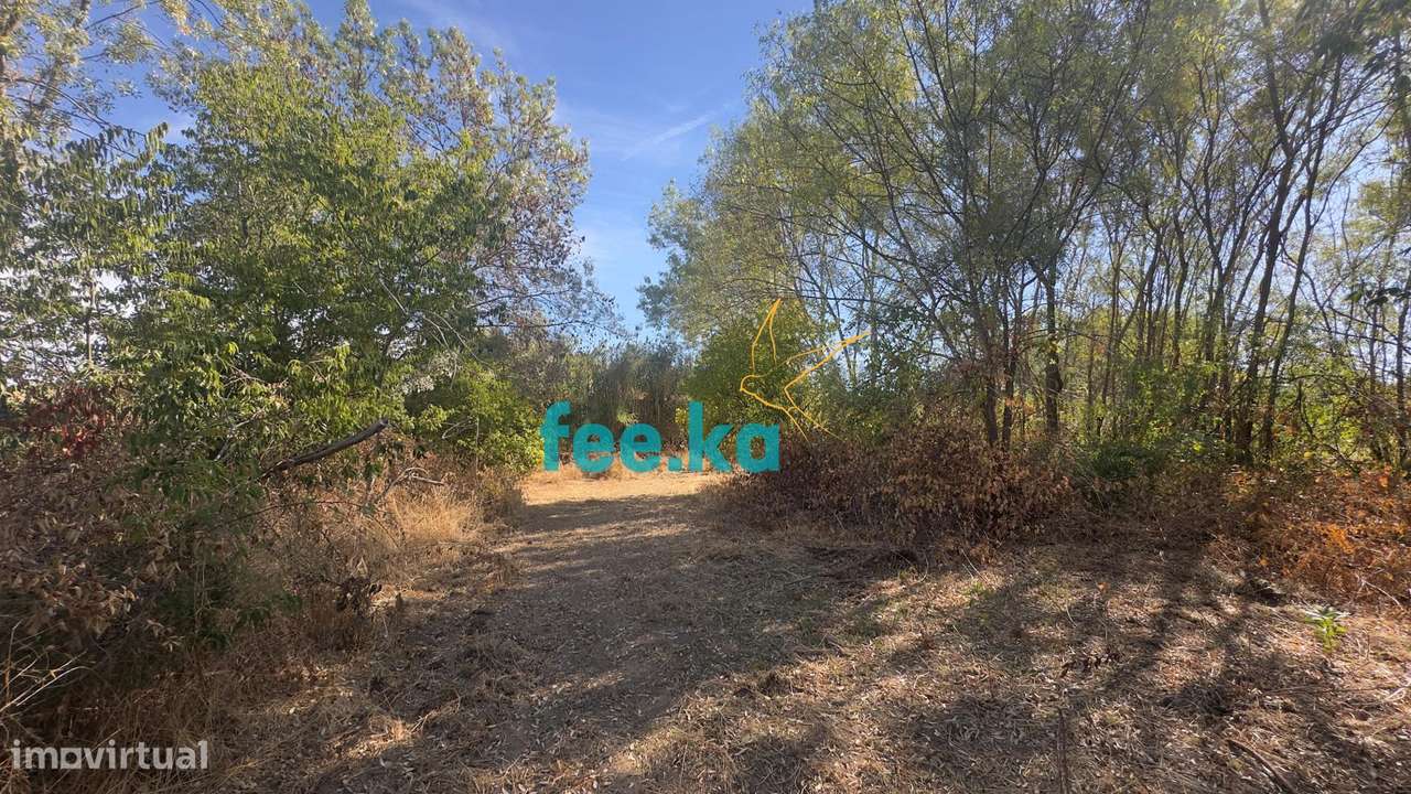 Terreno em Ladoeiro-18