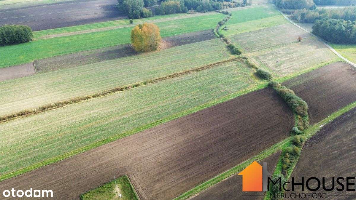 13km Mielec - Kawęczyn, 4,3ha i Wz na 26 domów-16