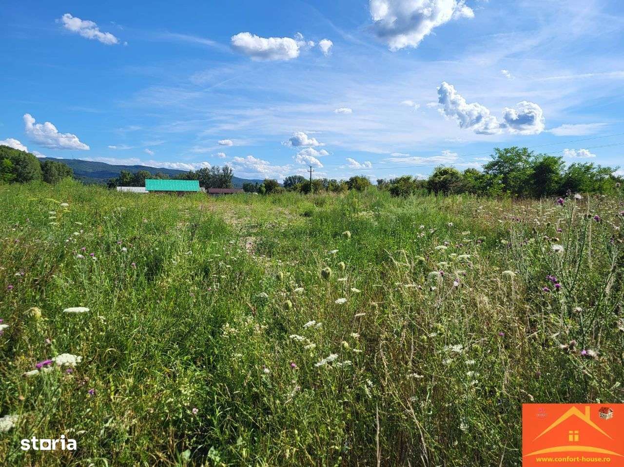 Teren intravilan Rm.Vl. Goranu-Calea Bucuresti 1100 mp aproape de oras - Imagine principală: 3/7