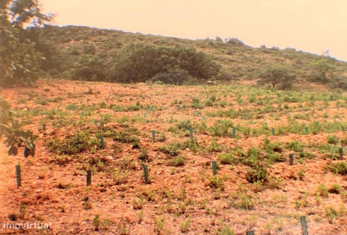 Terreno  para venda - Grande imagem: 3/5