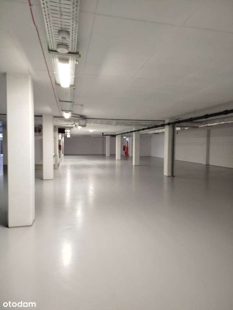 Wynajem hala magazynowa, BULK, duży magazyn, powierzchnia magazynowa - Pełny obrazek: 4/10