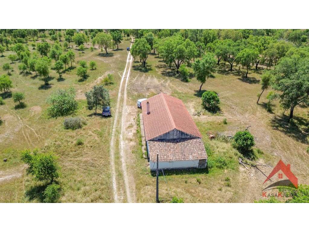 HERDADE DO BARRANCO - OPORTUNIDADE ÚNICA PARA TURISMO E INVESTIMENTO-20