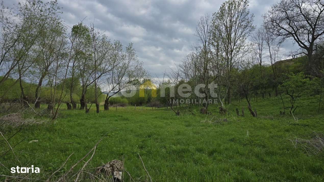 De vanzare teren superb in Ciurila – 500 mp de liniste, verdeata si - Imagine principală: 5/8