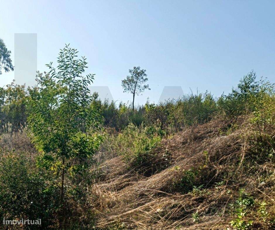 Terreno de 9.000 m2 em Milhundos com a Melhor Vista Panorâmica sobre-5
