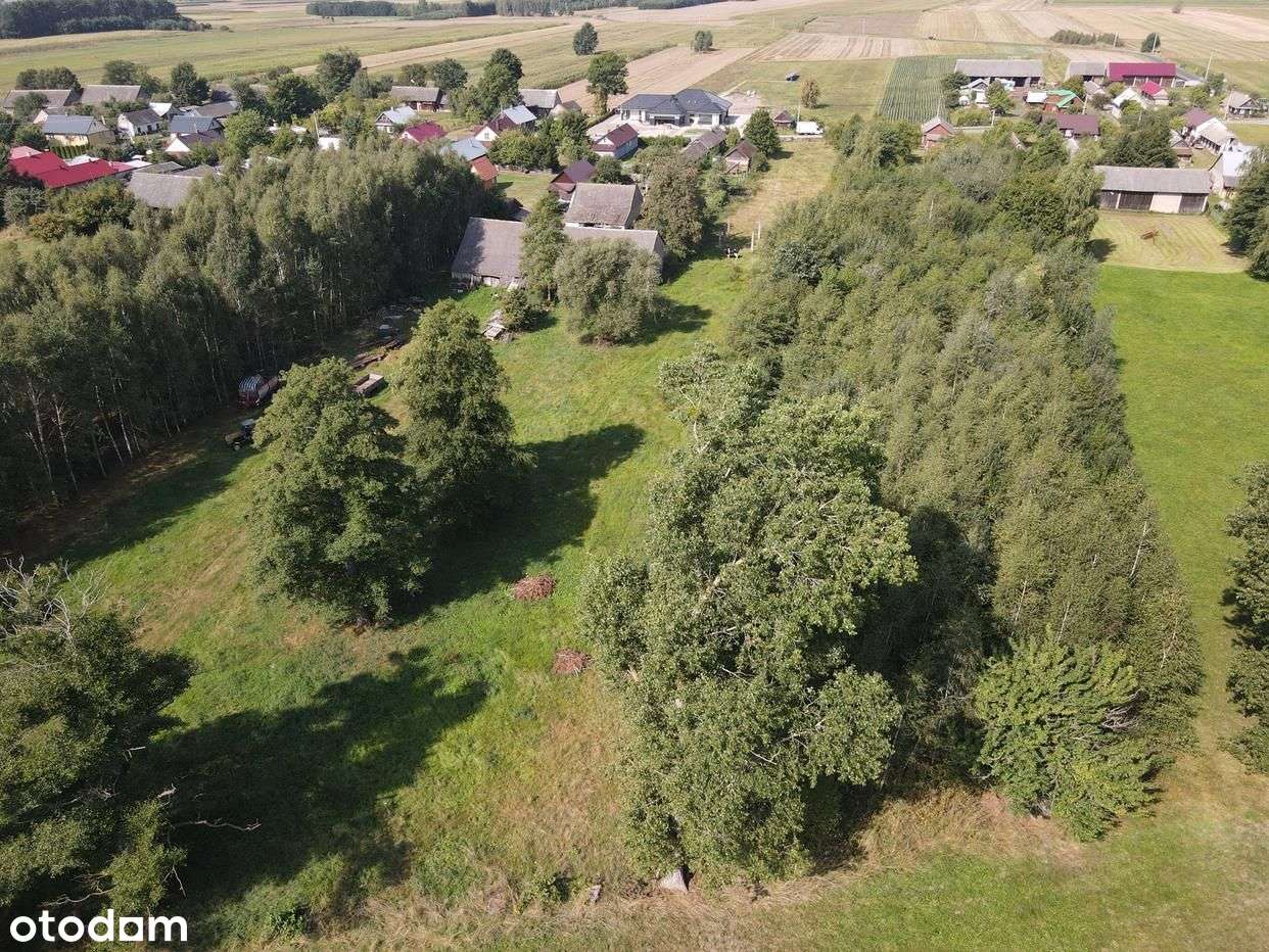 Chytra - gm. Hajnówka - 4815 m2 - z WZ ! - Pełny obrazek: 5/20