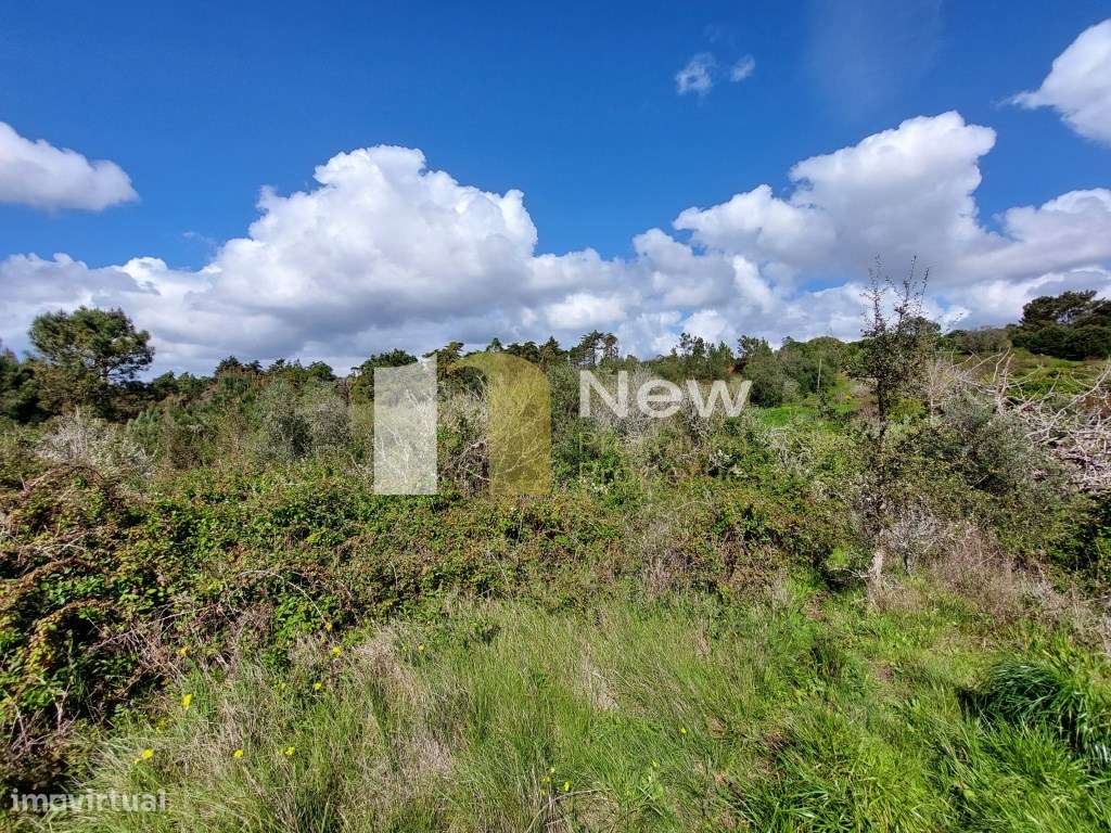 Terreno Urbano na Cabreira - Zambujal de Cima. - Grande imagem: 4/9