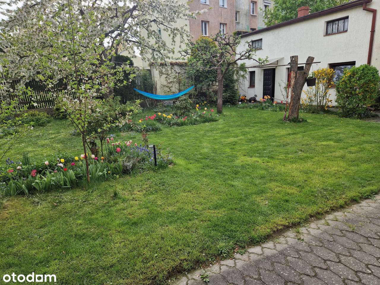 Dom w centrum Tucholi na sprzedaż - Pełny obrazek: 5/8