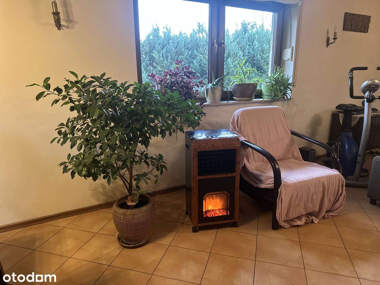 Dzikowo - dom wolnostojący na sprzedaż-9