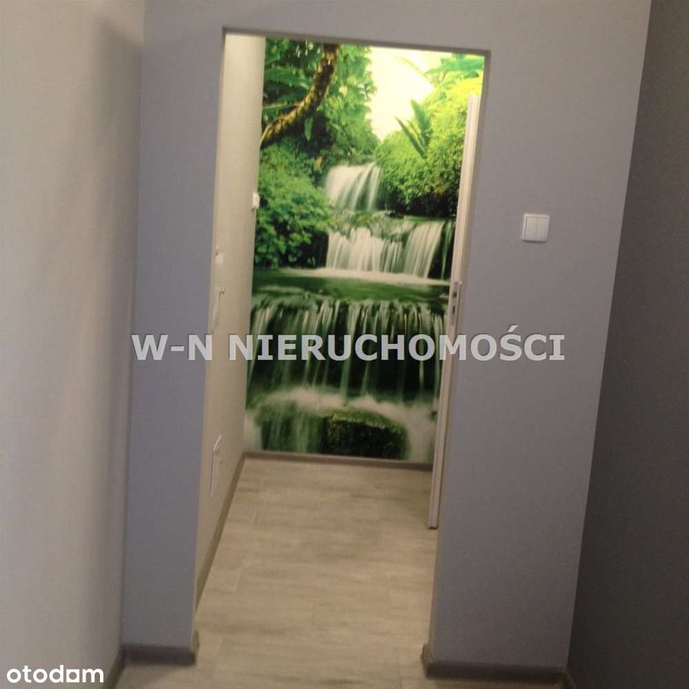 Do wynajęcia lokal ul. Aleja Wolności! - Pełny obrazek: 5/9