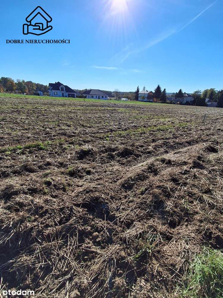 Działka  10ar. 165tyś!!!  Zbliżona do kwadratu - Pełny obrazek: 4/5