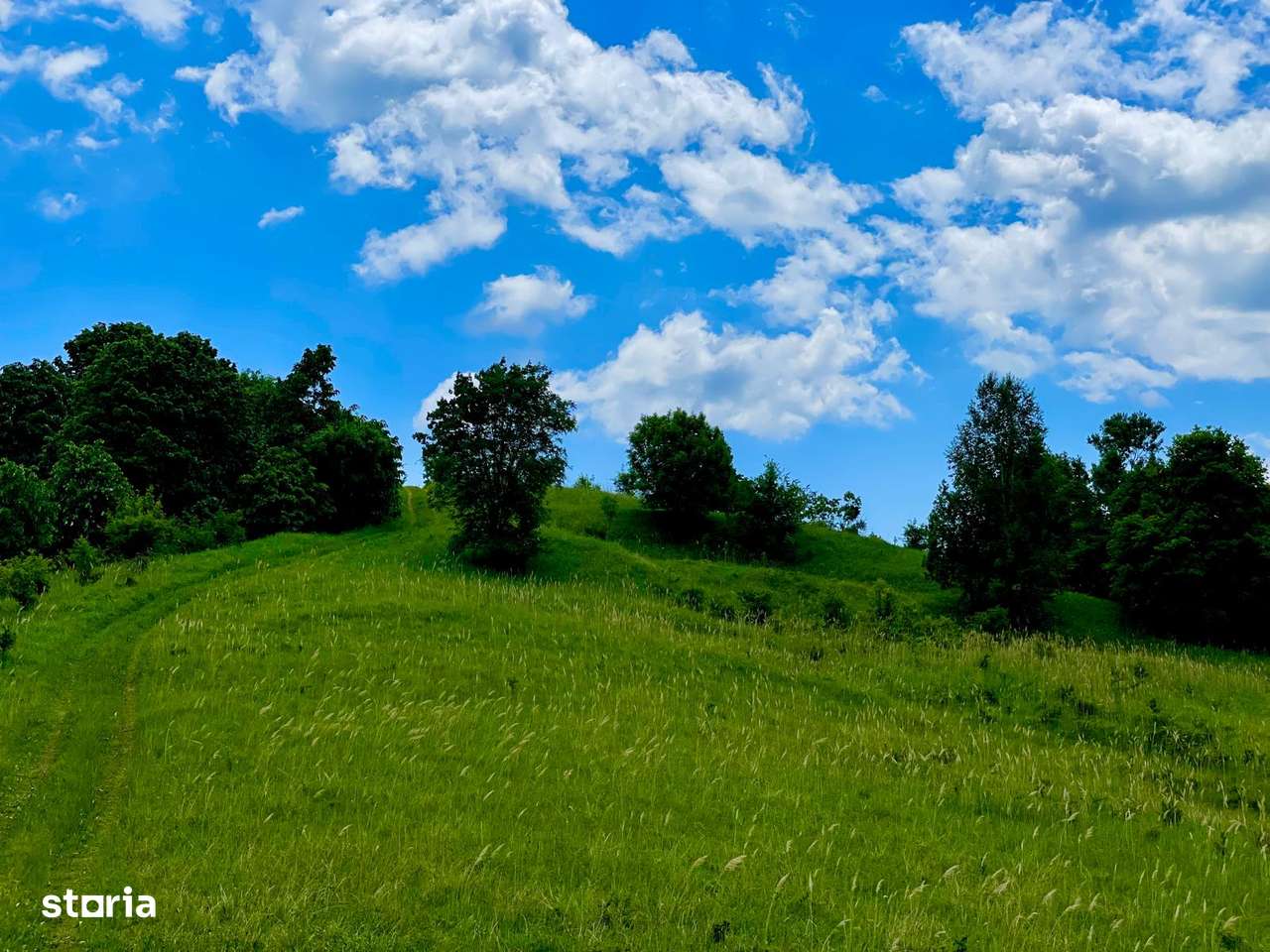 Terenuri extravilane de vânzare – Cozieni, jud. Buzău - Imagine principală: 5/16