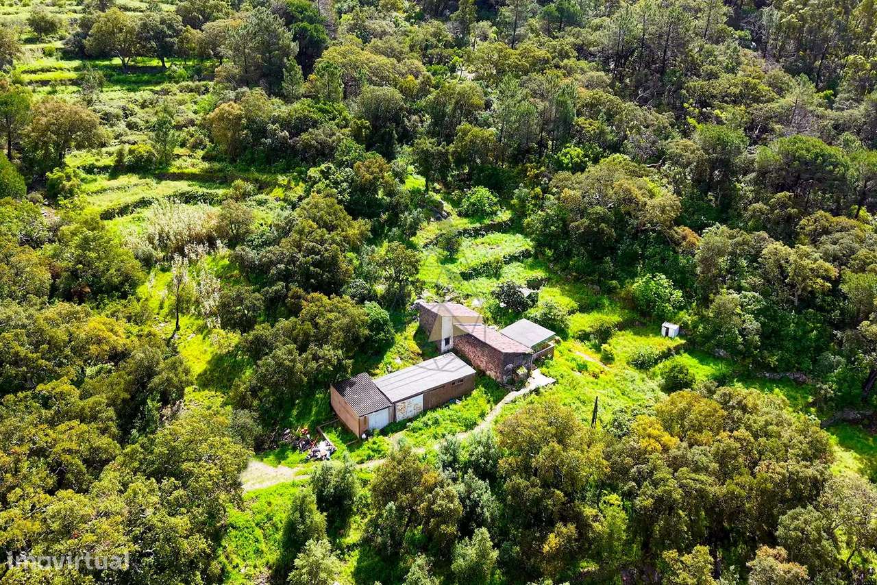 Quintinha T2  com Vista Panorâmica e Deslumbrante  para a serra em Mon - Grande imagem: 4/31