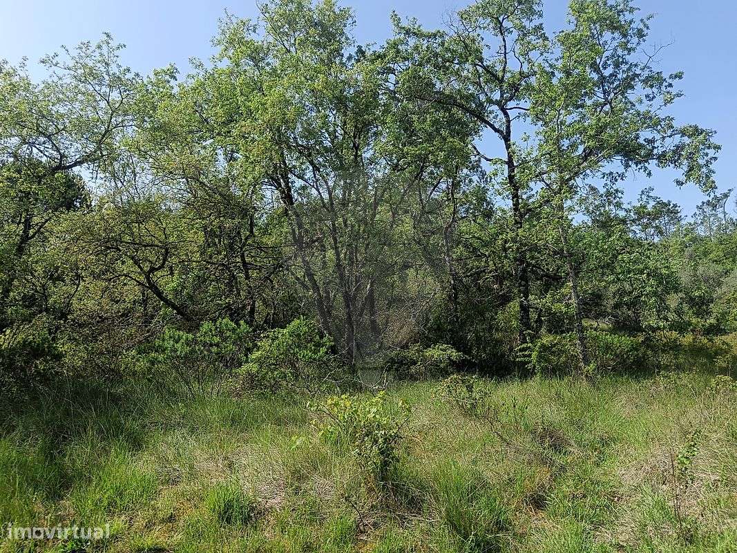 Terreno  para venda-3