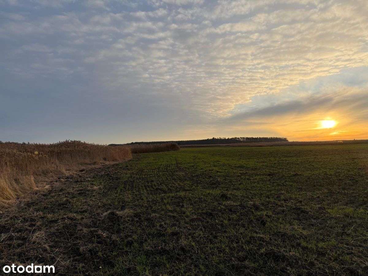 Działki rolne na sprzedaż | bliskość rzeki-7