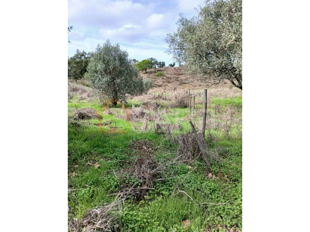 Vende-se terreno em Melides - Grande imagem: 3/5