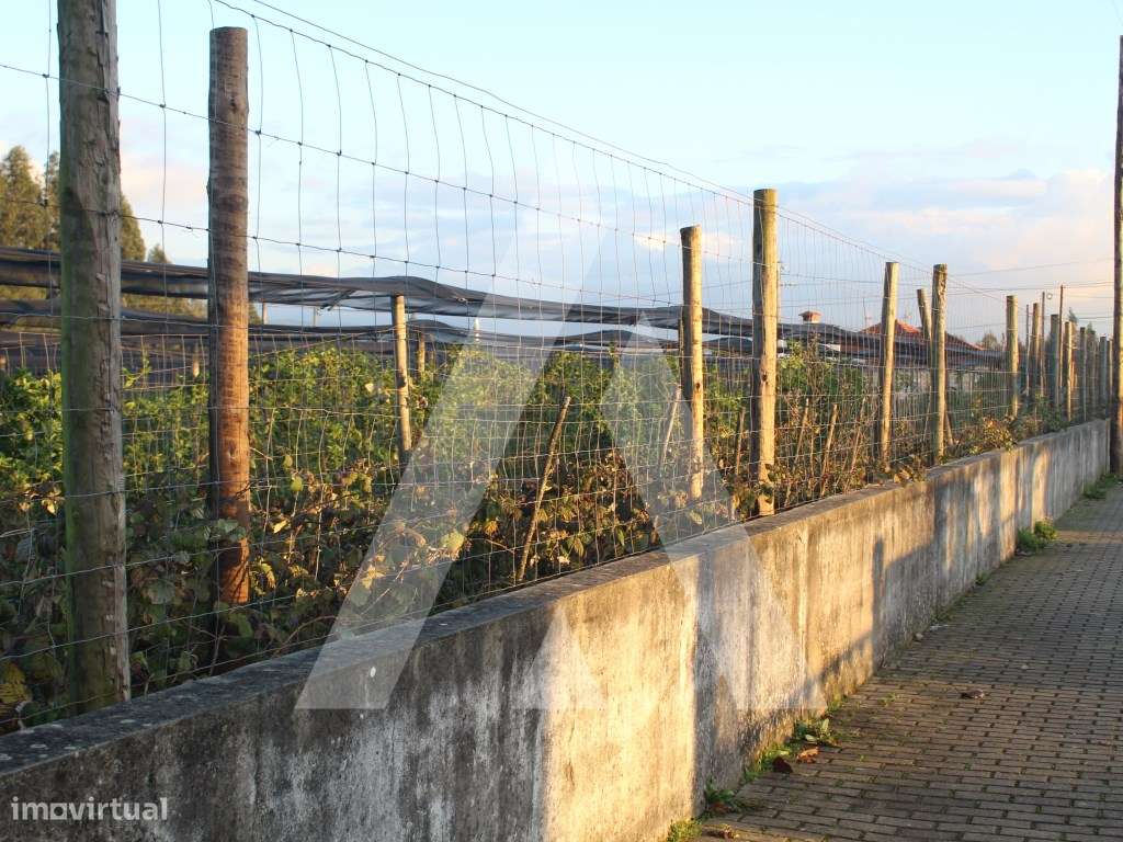 Terreno para construção em Albergaria-a-Velha - Grande imagem: 3/21