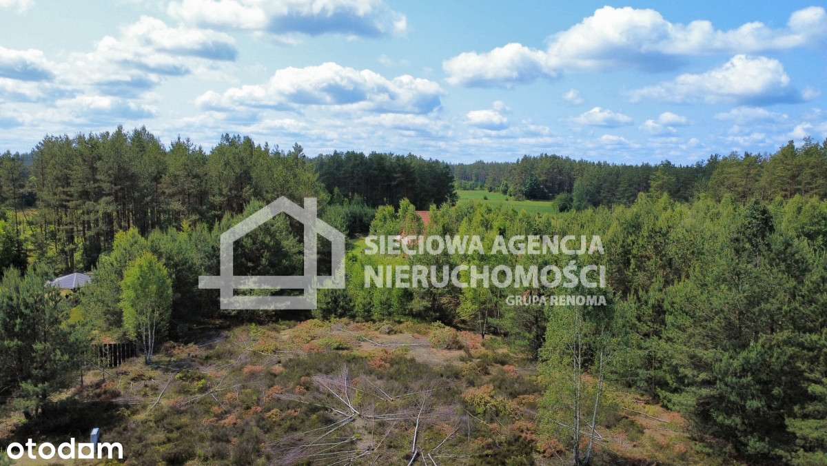 Kaszuby Zdunowice działka na sprzedaż. - Pełny obrazek: 4/8