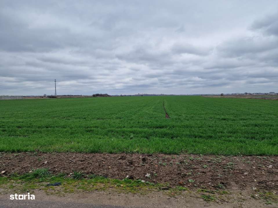 TEREN DE VANZARE DRAGOMIRESTI VALE - Imagine principală: 3/5