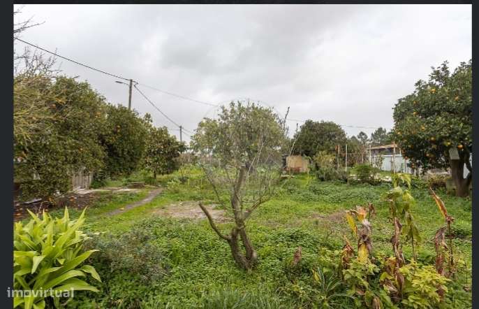 Moradia Isolada Palmela - Grande imagem: 5/28