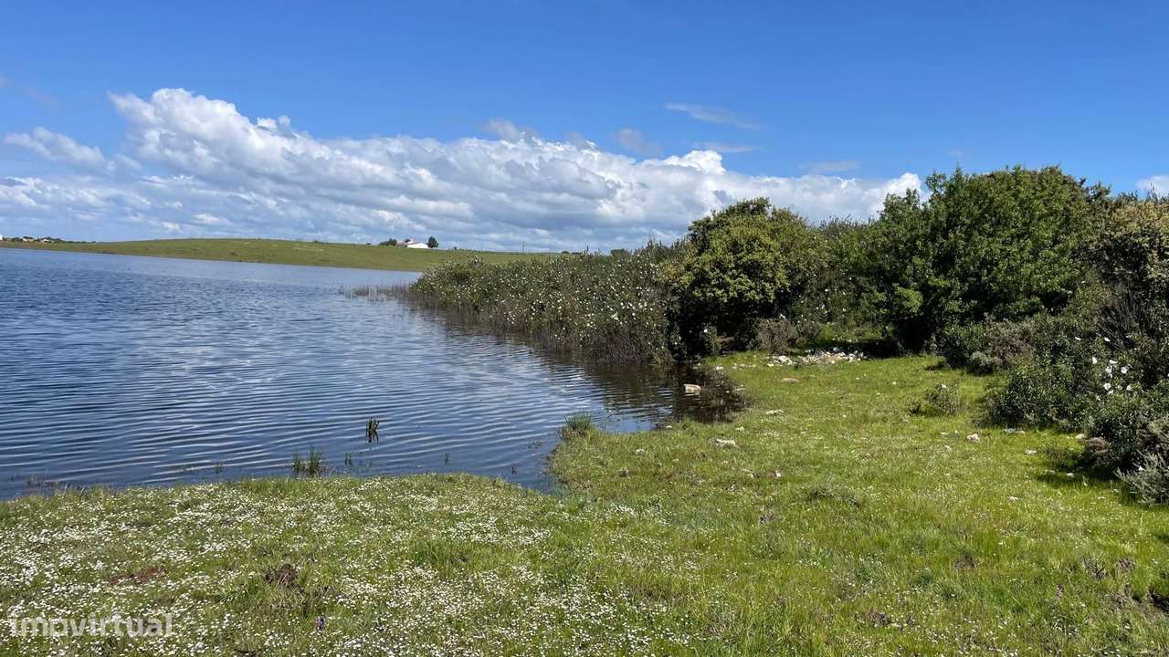Terreno na Margem Alqueva-16