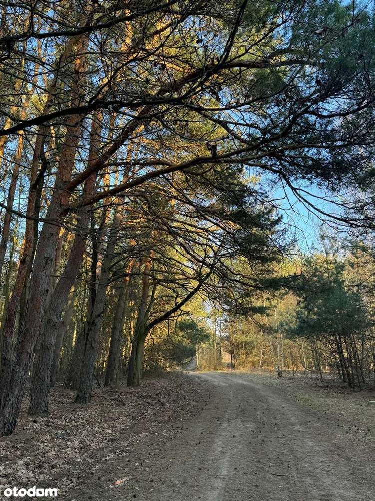 Kuklówka Radziejowicka. Działka budowlana w atrakcyjnej cenie!-0