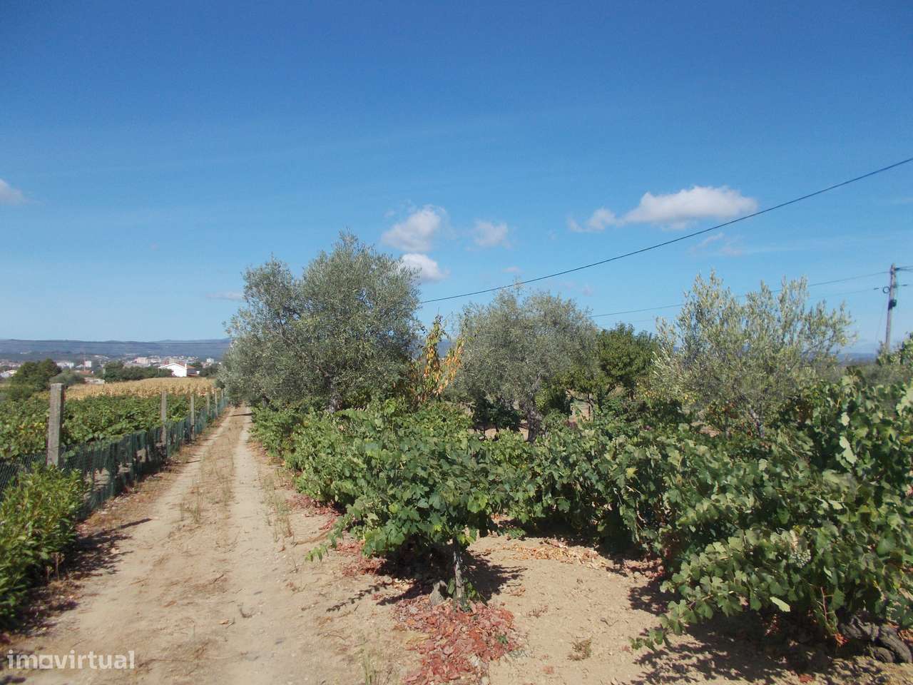 Terreno e Armazém em Chaves-8