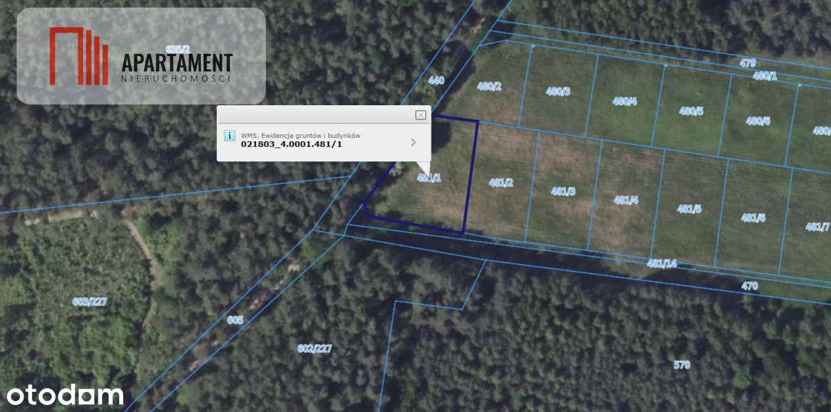 1222 m2 z widokiem na las! - Pełny obrazek: 5/14