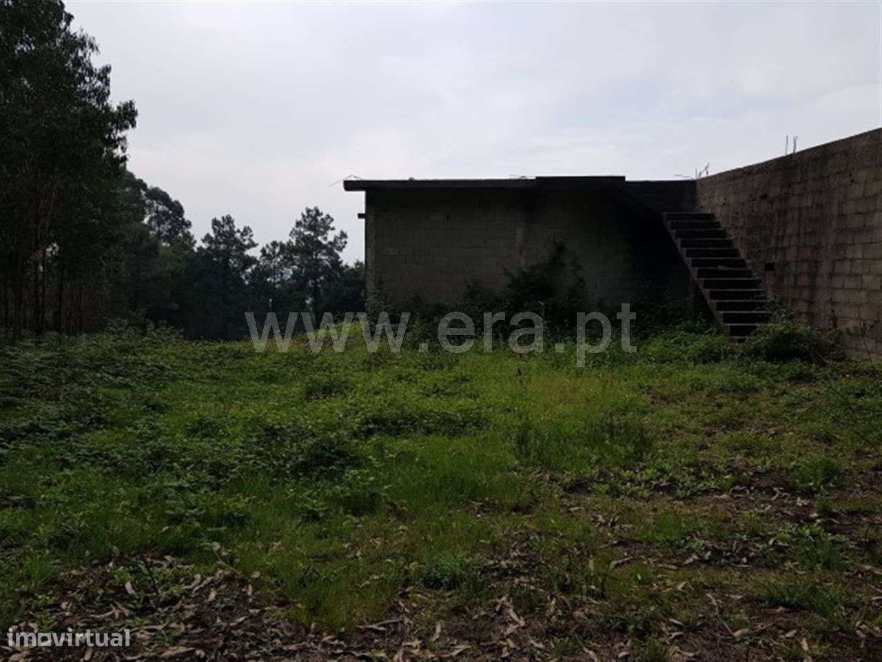 Terreno com ruina - Grande imagem: 5/11