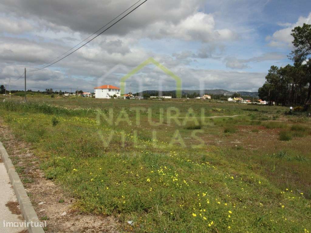 Terreno de Grande Potencial em Gambelas, Algarve: Oportunidade Únic... - Grande imagem: 2/15