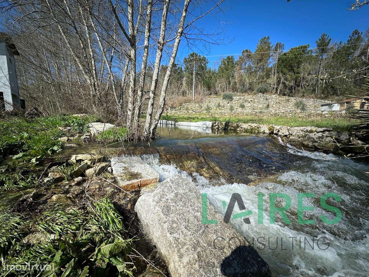 Quinta Agrícola com 3ha - Grande imagem: 5/10