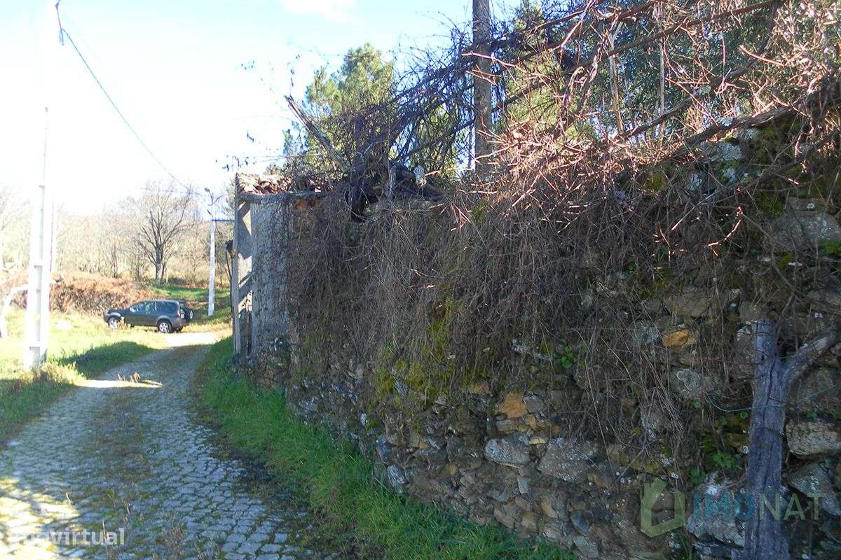 Imóvel Rural - Grande imagem: 4/37