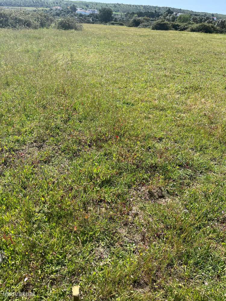 Terreno rustico em Avos em Palmela - Grande imagem: 4/9