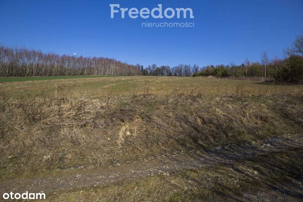 Działka rekreacyjna 33,17 ar Harta - Pełny obrazek: 5/11