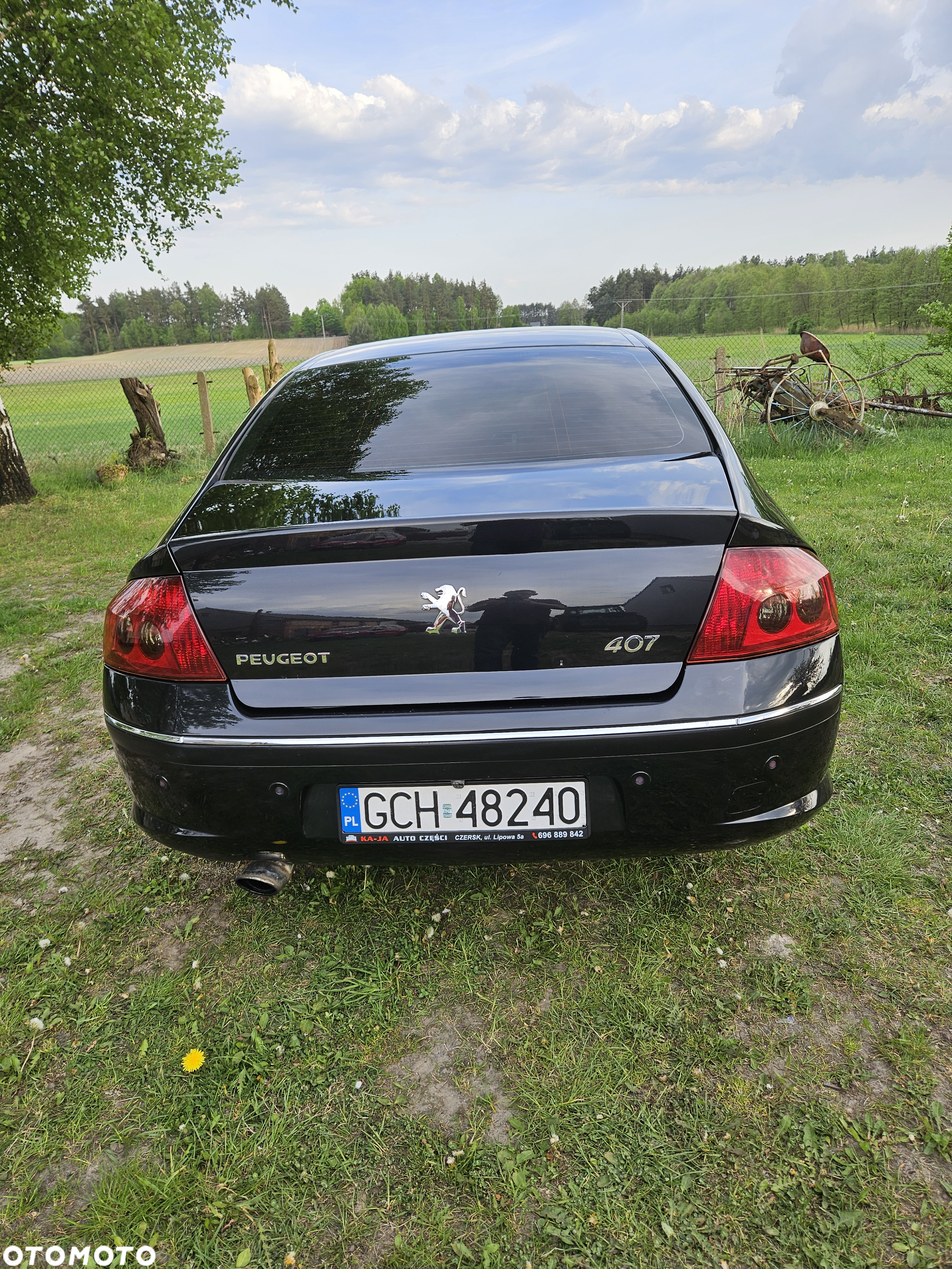 Peugeot 407 2.0 HDI Premium - 5