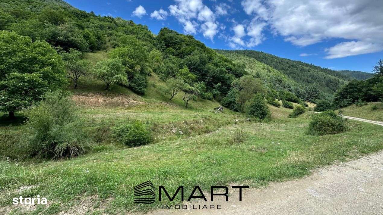 Teren intravilan 8500mp Rasinari - Imagine principală: 5/5