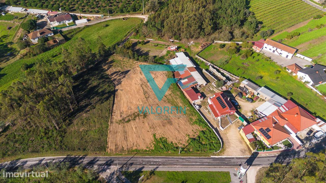 Terreno 2.000m², construção de moradia, Souto da Carpalhosa.-6