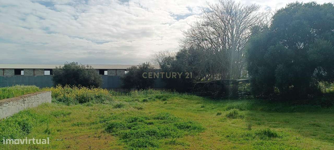 Espetacular Propriedade em Caia, Elvas - 574m² por 315.000€ - Grande imagem: 4/24