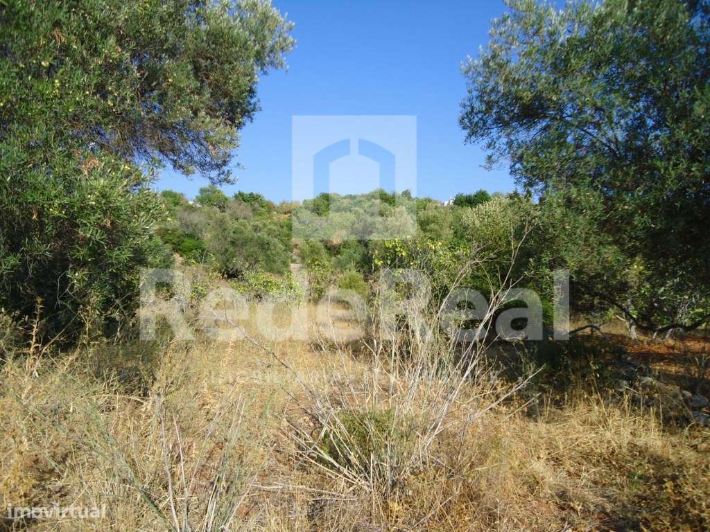 Terreno rústico, Loulé - Grande imagem: 4/7