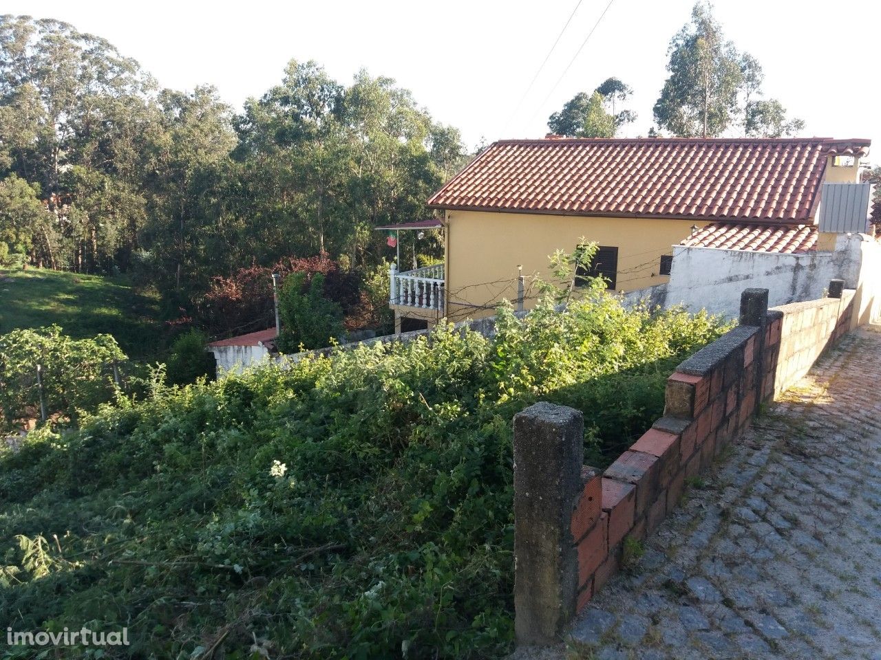 Terreno  Venda em Vila de Cucujães,Oliveira de Azeméis