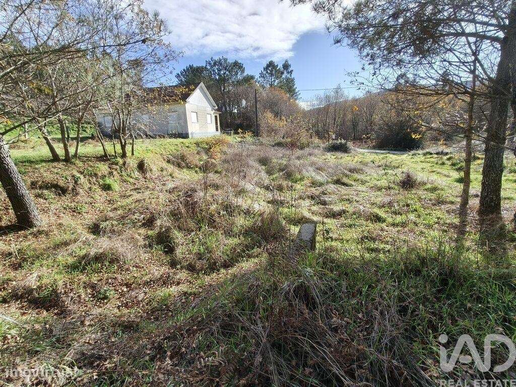 Terreno Agrícola em Covas - Grande imagem: 4/11