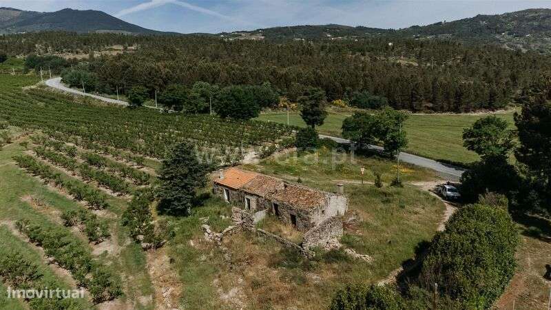 Quintinha T5 / Covilhã, Teixoso-7