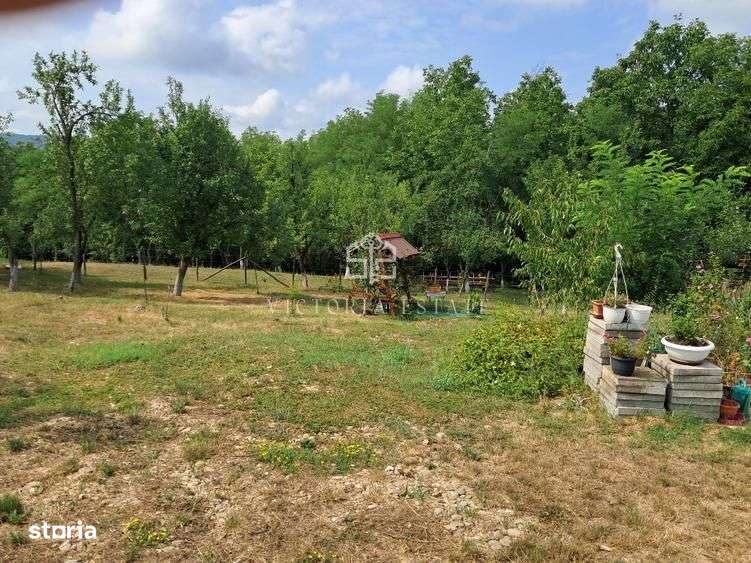 Casa si teren 2000 mp-6