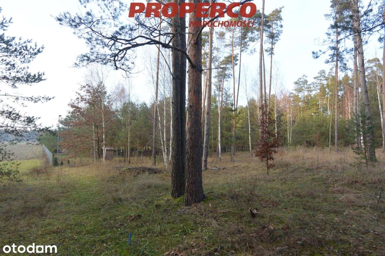 Działka 1519 m2, Marzysz, gm. Daleszyce - Pełny obrazek: 4/5