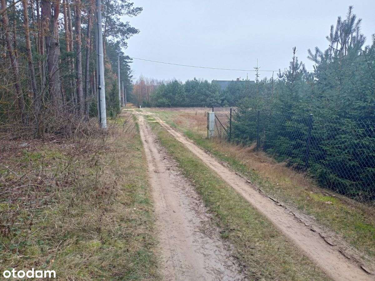 Działka budowlana z lasem-19